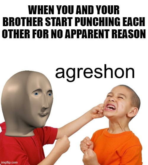 Meme man aggression | WHEN YOU AND YOUR BROTHER START PUNCHING EACH OTHER FOR NO APPARENT REASON | image tagged in meme man aggression,memes | made w/ Imgflip meme maker