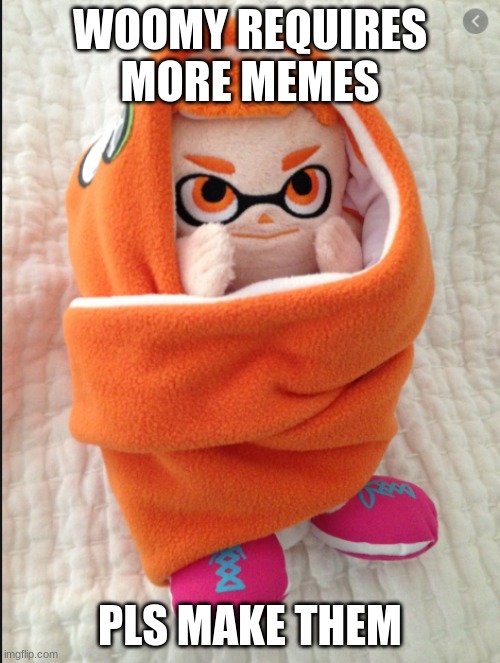 Make Memes | WOOMY REQUIRES MORE MEMES; PLS MAKE THEM | image tagged in woomy in a blanket | made w/ Imgflip meme maker