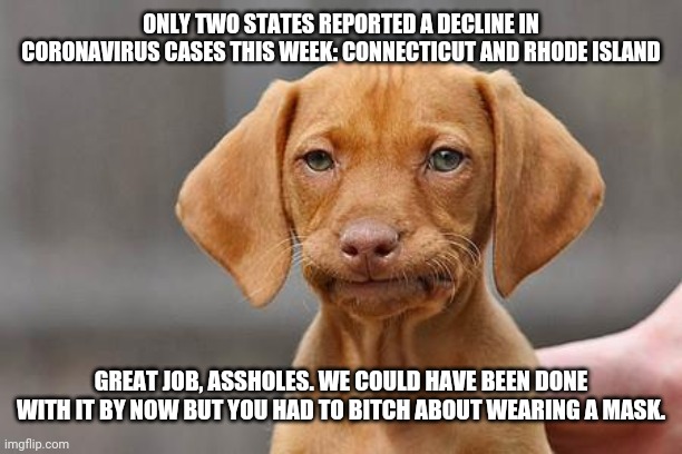 Dissapointed puppy | ONLY TWO STATES REPORTED A DECLINE IN CORONAVIRUS CASES THIS WEEK: CONNECTICUT AND RHODE ISLAND; GREAT JOB, ASSHOLES. WE COULD HAVE BEEN DONE WITH IT BY NOW BUT YOU HAD TO BITCH ABOUT WEARING A MASK. | image tagged in dissapointed puppy | made w/ Imgflip meme maker