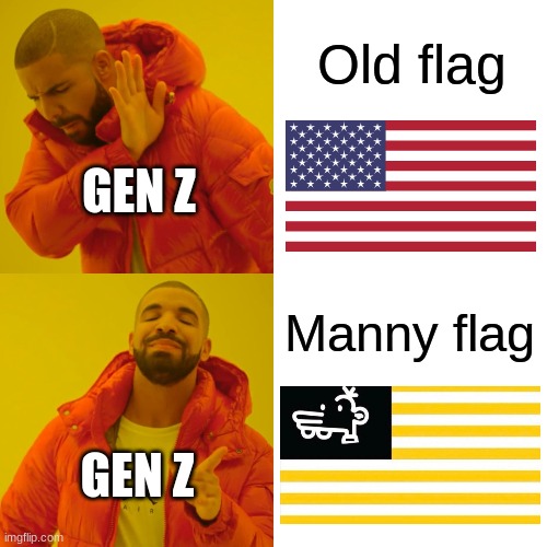 Manny Flag is New Flag |  Old flag; GEN Z; Manny flag; GEN Z | image tagged in memes,drake hotline bling,the manny will not be televised,manny,diary of a wimpy kid | made w/ Imgflip meme maker