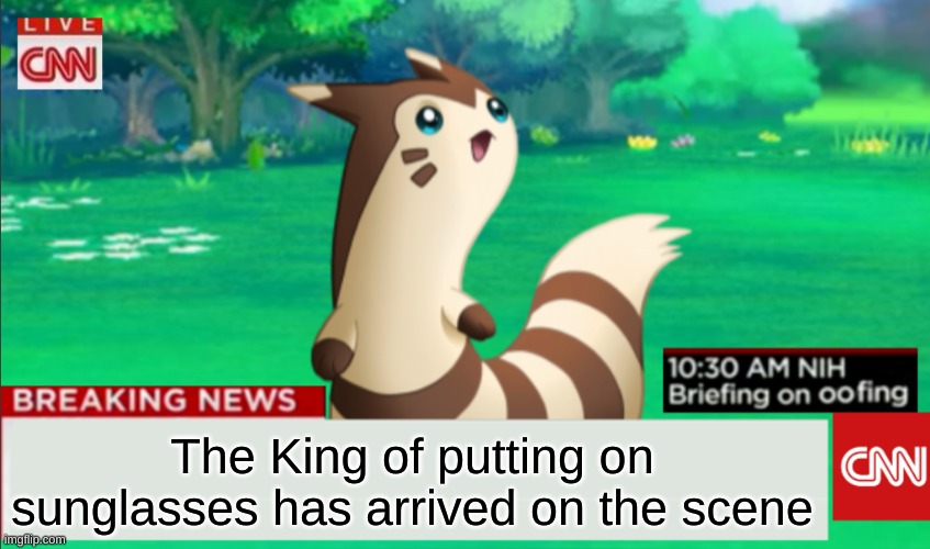 Breaking News Furret | The King of putting on sunglasses has arrived on the scene | image tagged in breaking news furret | made w/ Imgflip meme maker