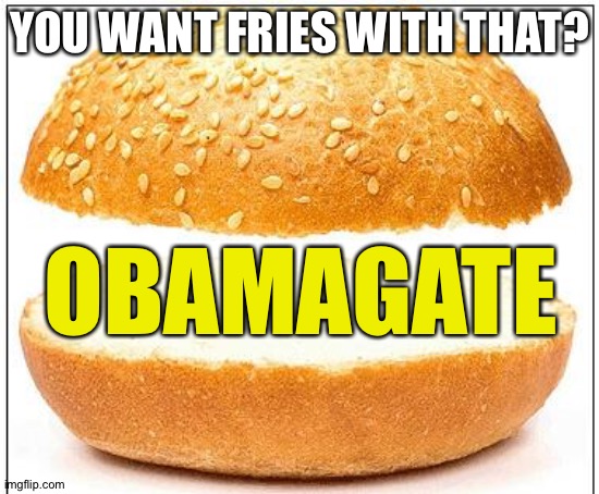 Nothing burger | YOU WANT FRIES WITH THAT? OBAMAGATE | image tagged in nothing burger | made w/ Imgflip meme maker