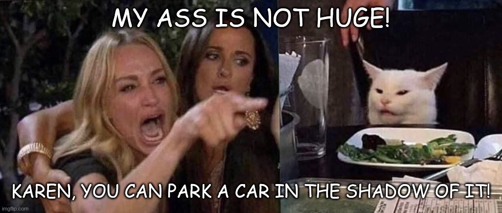 woman yelling at cat | MY ASS IS NOT HUGE! KAREN, YOU CAN PARK A CAR IN THE SHADOW OF IT! | image tagged in woman yelling at cat | made w/ Imgflip meme maker