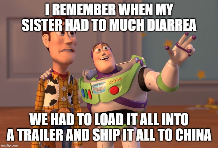 IT ACTUALLY HAPPENED TO ME... | I REMEMBER WHEN MY SISTER HAD TO MUCH DIARREA; WE HAD TO LOAD IT ALL INTO A TRAILER AND SHIP IT ALL TO CHINA | image tagged in memes,x x everywhere | made w/ Imgflip meme maker