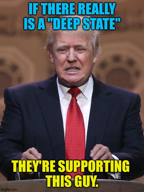 Donald Trump | IF THERE REALLY IS A "DEEP STATE" THEY'RE SUPPORTING 
THIS GUY. | image tagged in donald trump | made w/ Imgflip meme maker