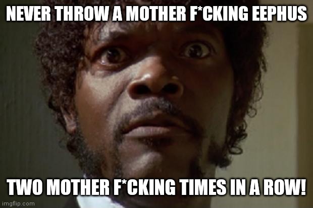 Samuel L jackson | NEVER THROW A MOTHER F*CKING EEPHUS; TWO MOTHER F*CKING TIMES IN A ROW! | image tagged in samuel l jackson | made w/ Imgflip meme maker