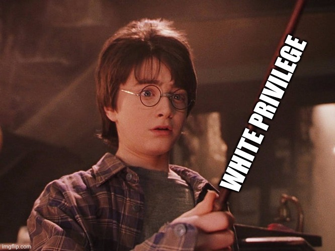White Privilege just like Magic only exist in fiction | WHITE PRIVILEGE | image tagged in white privilege,harry potter,fiction,political meme,propaganda | made w/ Imgflip meme maker