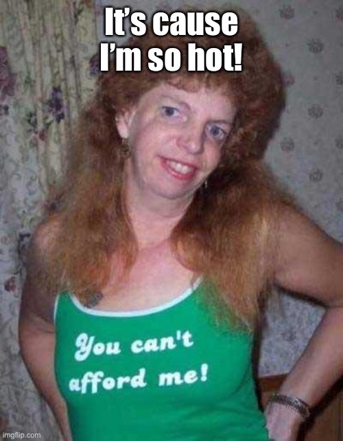 Ugly Woman | It’s cause I’m so hot! | image tagged in ugly woman | made w/ Imgflip meme maker