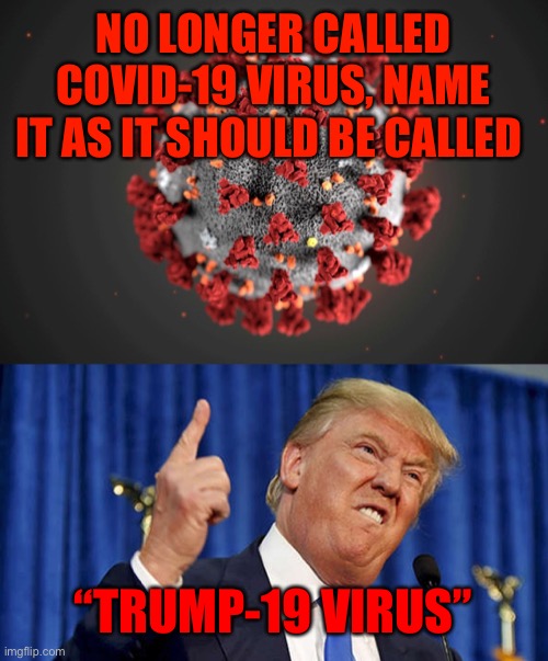 COVID-19 | NO LONGER CALLED COVID-19 VIRUS, NAME IT AS IT SHOULD BE CALLED; “TRUMP-19 VIRUS” | image tagged in covid-19 | made w/ Imgflip meme maker