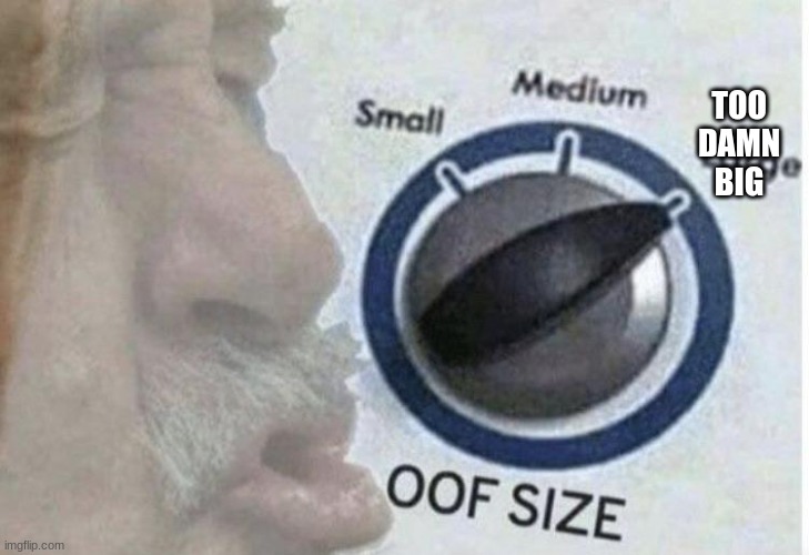 Oof size large | TOO DAMN BIG | image tagged in oof size large | made w/ Imgflip meme maker