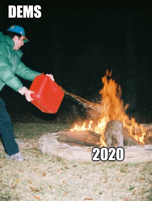 guy pouring gasoline into fire | DEMS 2020 | image tagged in guy pouring gasoline into fire | made w/ Imgflip meme maker
