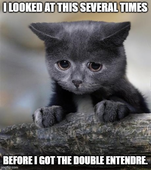 Confession Cat | I LOOKED AT THIS SEVERAL TIMES BEFORE I GOT THE DOUBLE ENTENDRE. | image tagged in confession cat | made w/ Imgflip meme maker