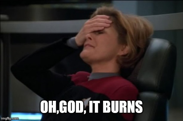 Captain Janeway Facepalm | OH,GOD, IT BURNS | image tagged in captain janeway facepalm | made w/ Imgflip meme maker