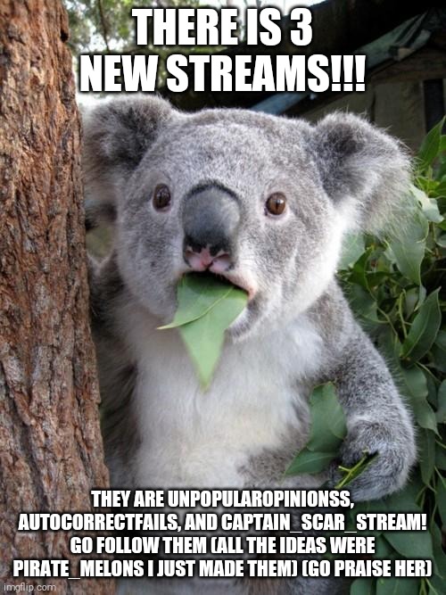 Surprised Koala Meme | THERE IS 3 NEW STREAMS!!! THEY ARE UNPOPULAROPINIONSS, AUTOCORRECTFAILS, AND CAPTAIN_SCAR_STREAM! GO FOLLOW THEM (ALL THE IDEAS WERE PIRATE_MELONS I JUST MADE THEM) (GO PRAISE HER) | image tagged in memes,surprised koala | made w/ Imgflip meme maker