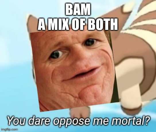 Its a furret and a SOSIG | BAM
A MIX OF BOTH | image tagged in sosig you dare oppose me mortal | made w/ Imgflip meme maker