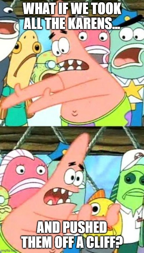 Put It Somewhere Else Patrick | WHAT IF WE TOOK ALL THE KARENS... AND PUSHED THEM OFF A CLIFF? | image tagged in memes,put it somewhere else patrick | made w/ Imgflip meme maker
