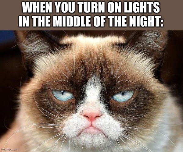 Grumpy Cat Not Amused Meme | WHEN YOU TURN ON LIGHTS IN THE MIDDLE OF THE NIGHT: | image tagged in memes,grumpy cat not amused,grumpy cat,meme | made w/ Imgflip meme maker