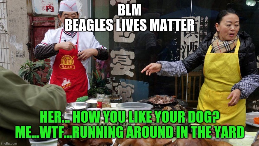 dogs | BLM
BEAGLES LIVES MATTER; HER... HOW YOU LIKE YOUR DOG?
ME...WTF...RUNNING AROUND IN THE YARD | image tagged in memes | made w/ Imgflip meme maker