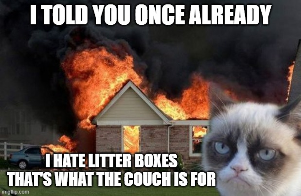 I told you already | I TOLD YOU ONCE ALREADY; I HATE LITTER BOXES
THAT'S WHAT THE COUCH IS FOR | image tagged in memes,burn kitty,grumpy cat | made w/ Imgflip meme maker