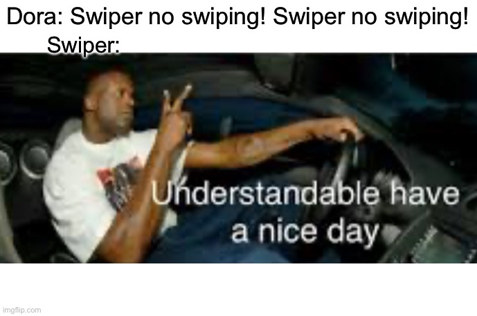Dora | Dora: Swiper no swiping! Swiper no swiping! Swiper: | image tagged in understandable | made w/ Imgflip meme maker