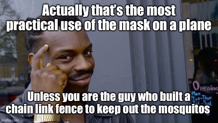 Roll Safe Think About It Meme | Actually that’s the most practical use of the mask on a plane Unless you are the guy who built a chain link fence to keep out the mosquitos | image tagged in memes,roll safe think about it | made w/ Imgflip meme maker