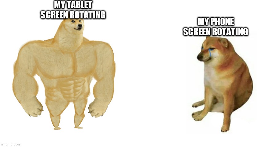 Strong doge vs weak doge | MY TABLET SCREEN ROTATING; MY PHONE SCREEN ROTATING | image tagged in funny | made w/ Imgflip meme maker