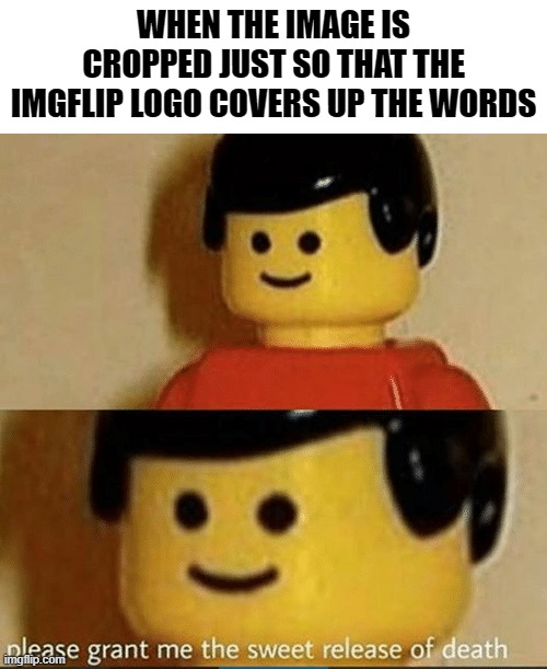 Frick | WHEN THE IMAGE IS CROPPED JUST SO THAT THE IMGFLIP LOGO COVERS UP THE WORDS | image tagged in sweet release | made w/ Imgflip meme maker