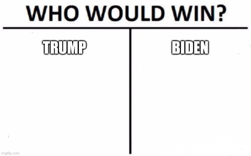 Please don't have arguments in the comments tho | TRUMP; BIDEN | image tagged in memes,who would win | made w/ Imgflip meme maker