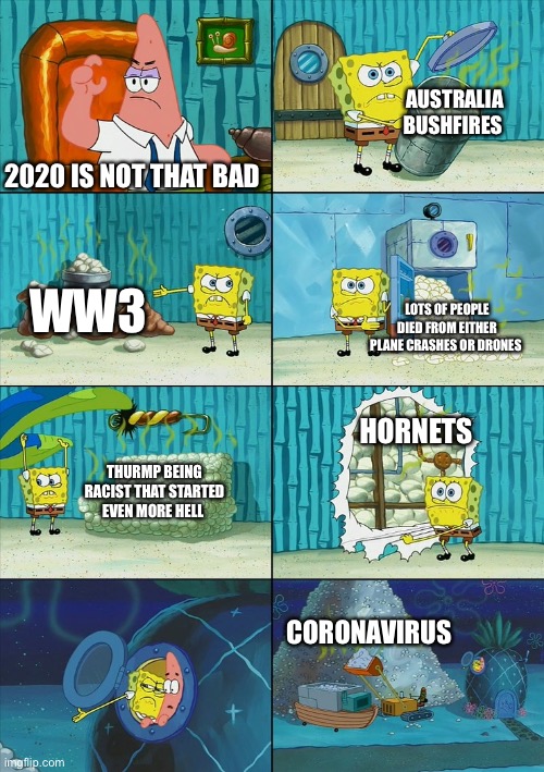 This is where I stop you | AUSTRALIA BUSHFIRES; 2020 IS NOT THAT BAD; WW3; LOTS OF PEOPLE DIED FROM EITHER PLANE CRASHES OR DRONES; HORNETS; THURMP BEING RACIST THAT STARTED EVEN MORE HELL; CORONAVIRUS | image tagged in spongebob shows patrick garbage | made w/ Imgflip meme maker