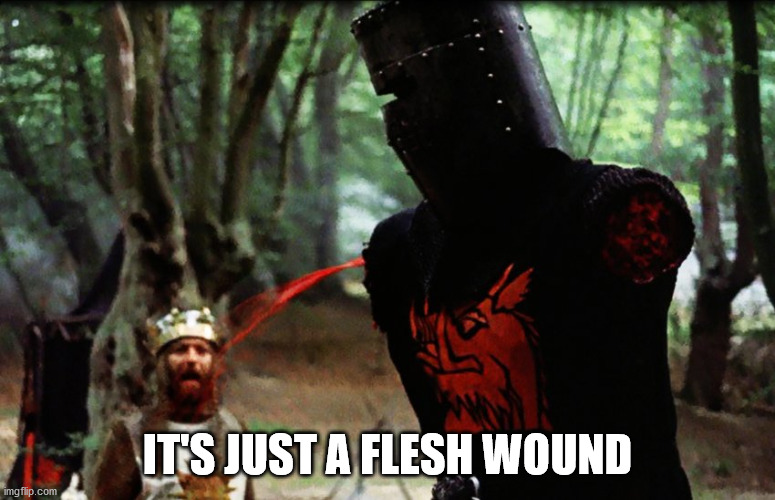 Monty Python Black Knight | IT'S JUST A FLESH WOUND | image tagged in monty python black knight | made w/ Imgflip meme maker