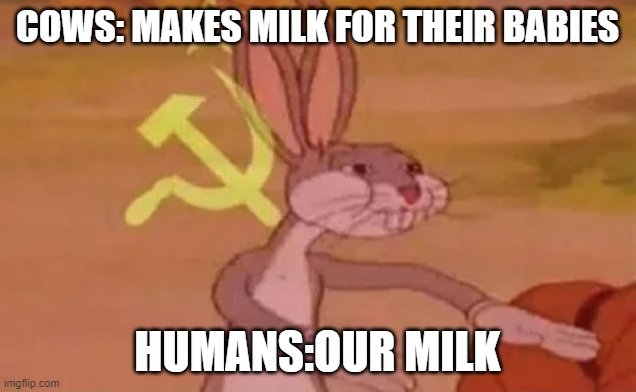 Bugs bunny communist | COWS: MAKES MILK FOR THEIR BABIES; HUMANS:OUR MILK | image tagged in bugs bunny communist | made w/ Imgflip meme maker