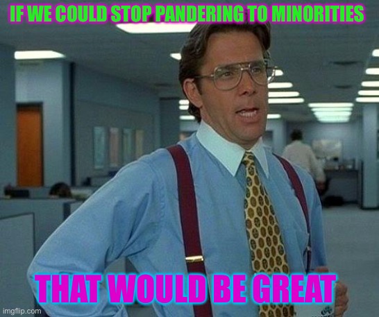 That Would Be Great Meme |  IF WE COULD STOP PANDERING TO MINORITIES; THAT WOULD BE GREAT | image tagged in memes,that would be great | made w/ Imgflip meme maker