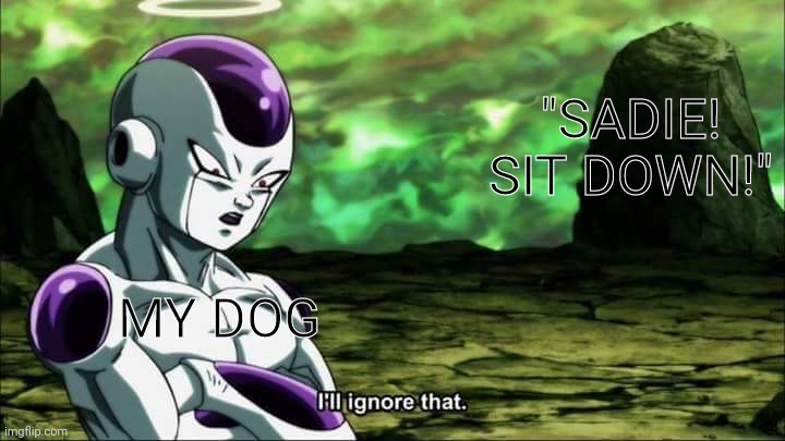 My dog :  ) | "SADIE! SIT DOWN!"; MY DOG | image tagged in frieza dragon ball super i'll ignore that,funny,pets,dog | made w/ Imgflip meme maker