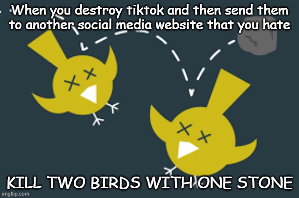 kILL TWO BIRDS WITH ONE STONE | When you destroy tiktok and then send them to another social media website that you hate; KILL TWO BIRDS WITH ONE STONE | image tagged in killing 2 birds with 1 stone | made w/ Imgflip meme maker