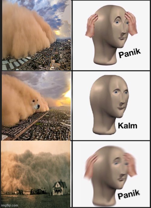 2020 anyone...... | image tagged in memes,panik kalm panik | made w/ Imgflip meme maker