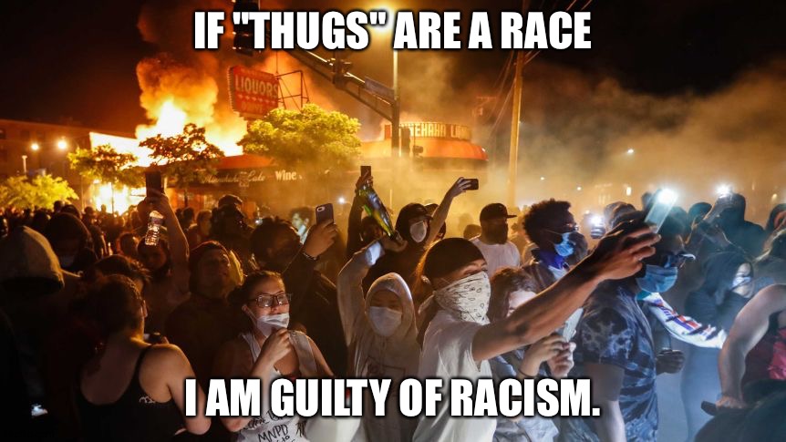 Thugs | IF "THUGS" ARE A RACE; I AM GUILTY OF RACISM. | image tagged in riotersnodistancing | made w/ Imgflip meme maker