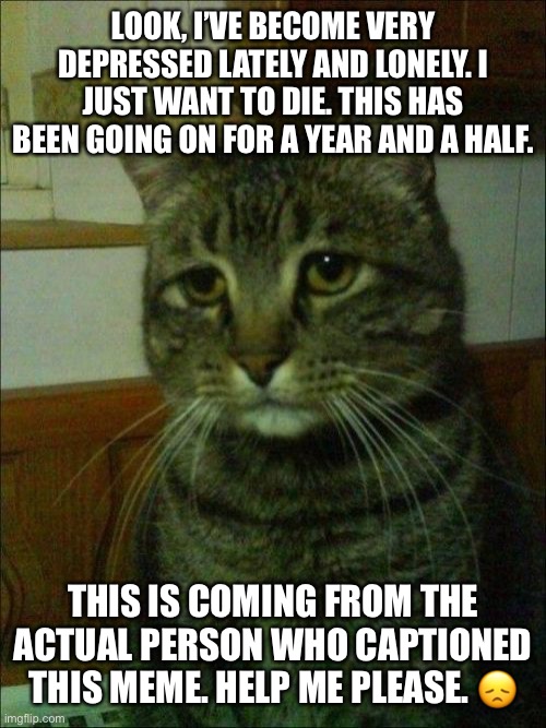 Depressed Cat | LOOK, I’VE BECOME VERY DEPRESSED LATELY AND LONELY. I JUST WANT TO DIE. THIS HAS BEEN GOING ON FOR A YEAR AND A HALF. THIS IS COMING FROM THE ACTUAL PERSON WHO CAPTIONED THIS MEME. HELP ME PLEASE. 😞 | image tagged in memes,depressed cat | made w/ Imgflip meme maker