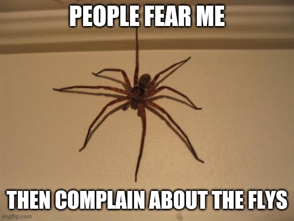 Spiders are oppressed | PEOPLE FEAR ME; THEN COMPLAIN ABOUT THE FLYS | image tagged in scumbag spider,memes,nature | made w/ Imgflip meme maker