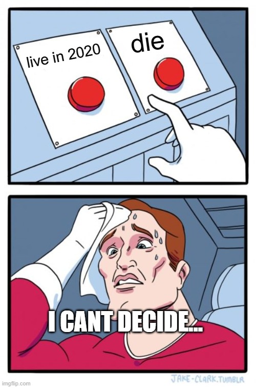 Two Buttons | die; live in 2020; I CANT DECIDE... | image tagged in memes,two buttons,memes | made w/ Imgflip meme maker