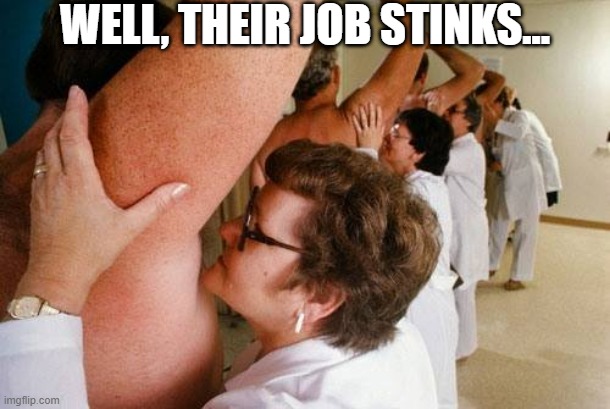 Terrible Job | WELL, THEIR JOB STINKS... | image tagged in pun | made w/ Imgflip meme maker