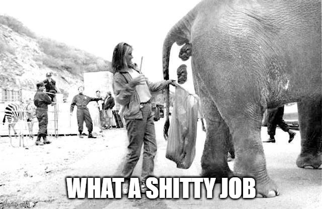 Do You Put This On Your Resume? | WHAT A SHITTY JOB | image tagged in dirty jobs | made w/ Imgflip meme maker