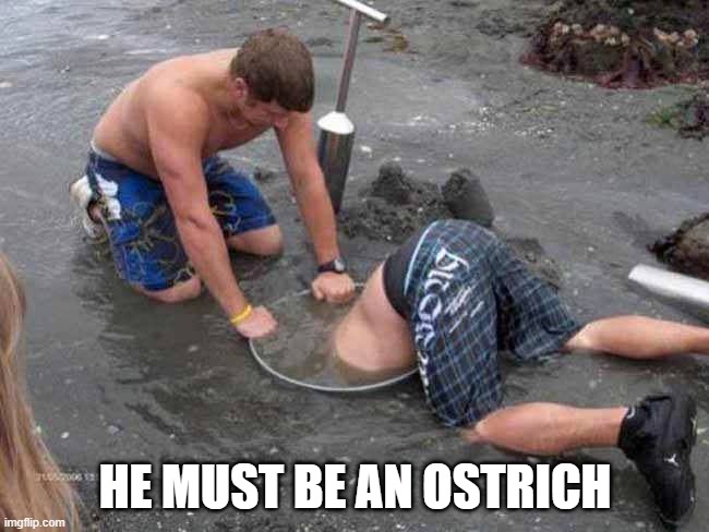 Head in the.....Huh? | HE MUST BE AN OSTRICH | image tagged in funny picture | made w/ Imgflip meme maker