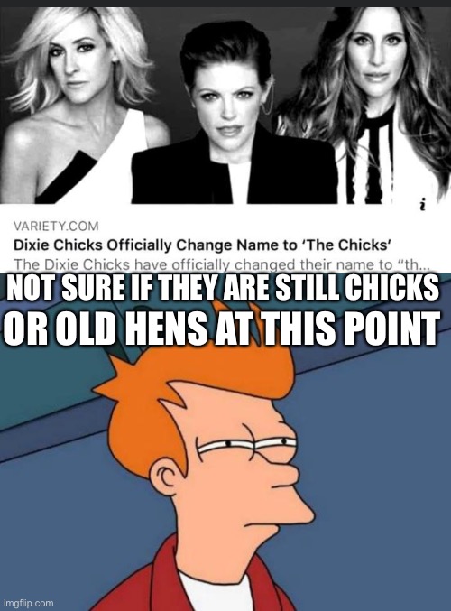 OR OLD HENS AT THIS POINT; NOT SURE IF THEY ARE STILL CHICKS | image tagged in memes,futurama fry | made w/ Imgflip meme maker