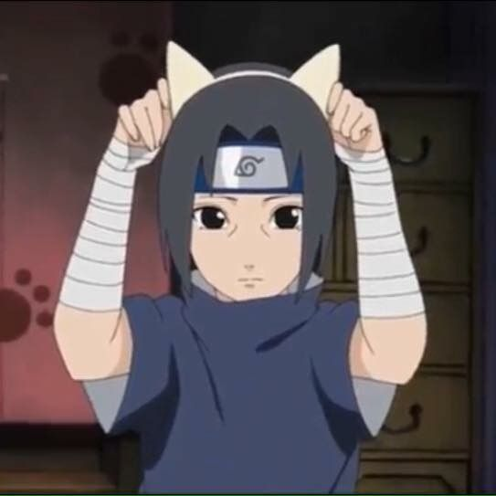 High Quality Itachi cat Blank Meme Template