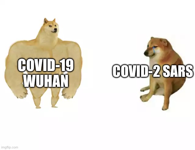 Buff Doge vs. Cheems Meme | COVID-19 WUHAN COVID-2 SARS | image tagged in buff doge vs cheems | made w/ Imgflip meme maker