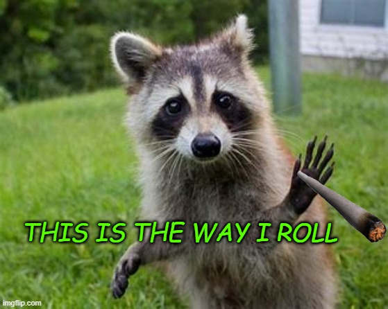 THIS IS THE WAY I ROLL | made w/ Imgflip meme maker