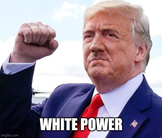 Hitler Trump | WHITE POWER | image tagged in hitler trump | made w/ Imgflip meme maker