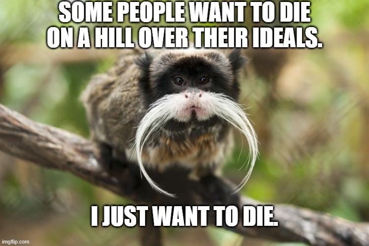 About sums it up. | SOME PEOPLE WANT TO DIE ON A HILL OVER THEIR IDEALS. I JUST WANT TO DIE. | image tagged in memes,animals | made w/ Imgflip meme maker