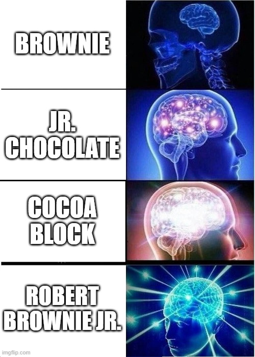 Expanding Brain Meme | BROWNIE JR. CHOCOLATE COCOA BLOCK ROBERT BROWNIE JR. | image tagged in memes,expanding brain | made w/ Imgflip meme maker