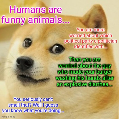 Dogs never worry about what other dogs, who live thousands of miles away, are doing....you could learn something from them | Humans are funny animals... You are more worried about which political party a politician identifies with... Than you are worried about the guy who made your burger washing his hands after an explosive diarrhea... You seriously can't smell that? Well I guess you know what you're doing... | image tagged in memes,political humor | made w/ Imgflip meme maker